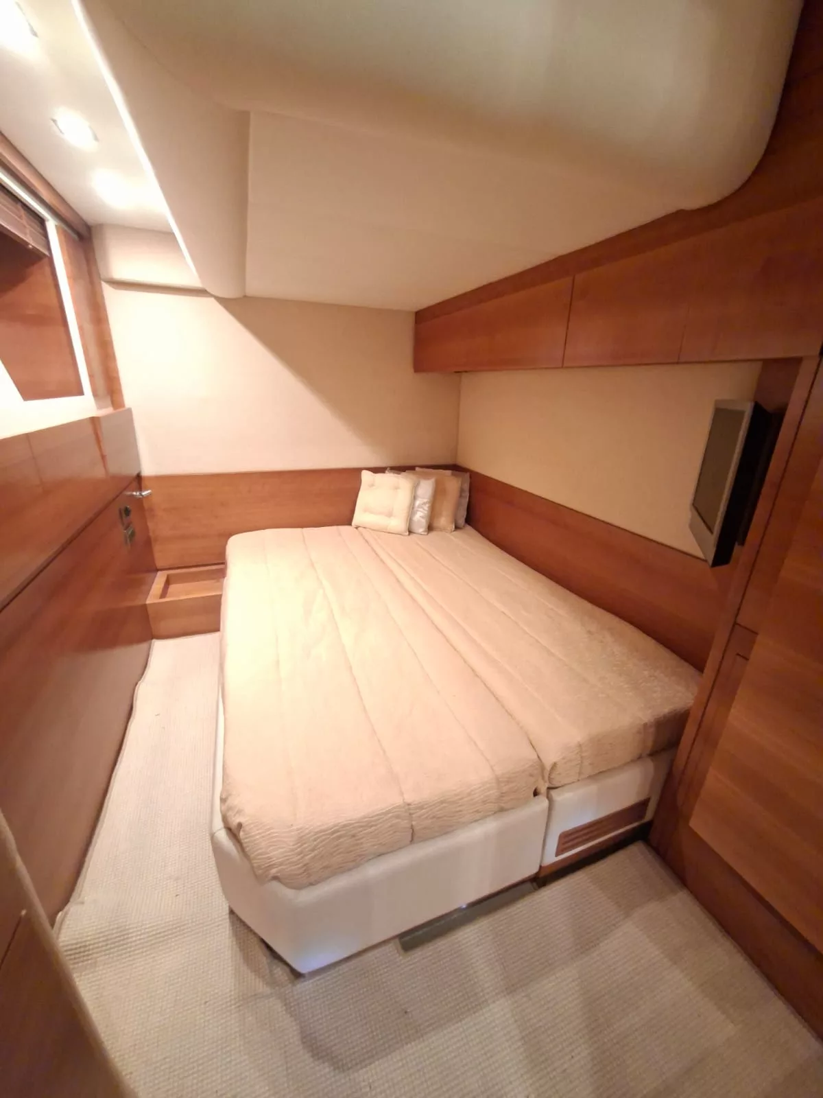 Rizzardi incredible 55
